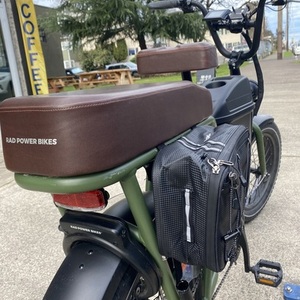 2024 Rad Power Bikes RadRunner™ 2 Electric Utility Bike Green