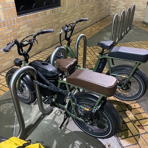 2024 Rad Power Bikes RadRunner™ 2 Electric Utility Bike Green