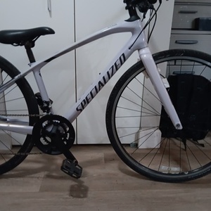 Specialized Sirrus Pro Carbon Silver, gray or bare metal