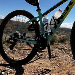 2024 Trek trek Blue and Green