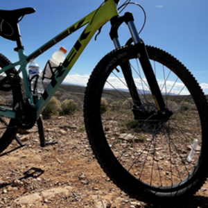 2024 Trek trek Blue and Green