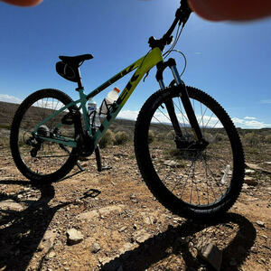 2024 Trek trek Blue and Green