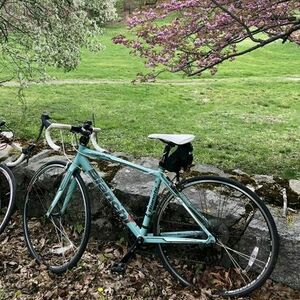 Bianchi Via Nirone 7 105 Blue