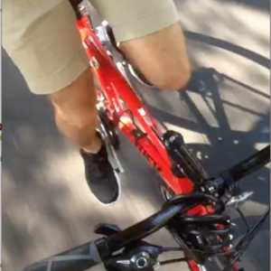 2016 Trek 7.1 FX-20 Red