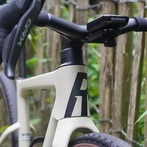 2024 ROSE BIKES BACKROAD FF Pistachio Green