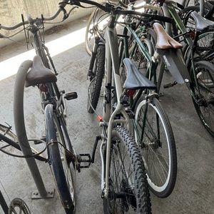 2021 Giant Talon 2 29” (L) Silver, gray or bare metal