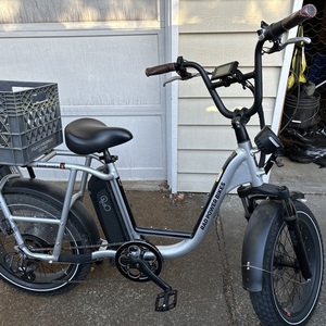 2022 Rad Power Bikes Radrunner Silver, gray or bare metal