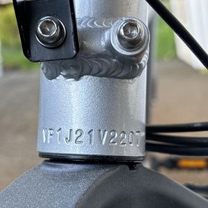 2022 Rad Power Bikes Radrunner Silver, gray or bare metal