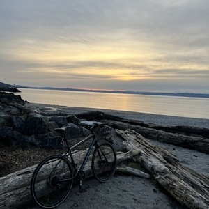 2019 Cannondale Quick Disc 4 Silver, gray or bare metal