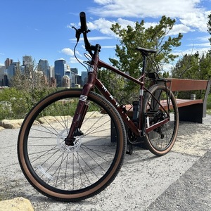 2024 Marin Bikes DSX 2 Red