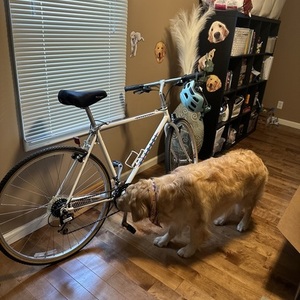 Bianchi Advantage White