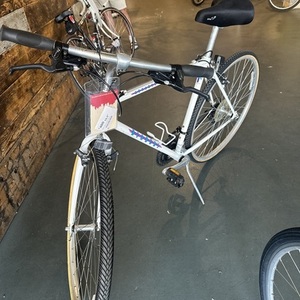 Bianchi Advantage White