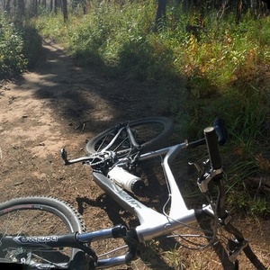 Giant Trance Silver, gray or bare metal