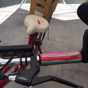 2016 E-Lux Electric Bike step through Red