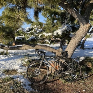 2021 REI Co-op ADV 2.1 Silver, gray or bare metal and Orange