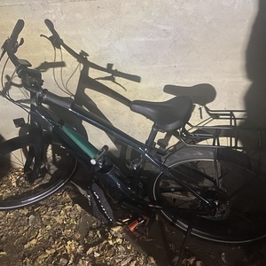 Specialized Como Green