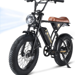 2024 CYCROWN