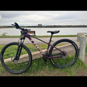 2023 Trek Marlin 6 Purple