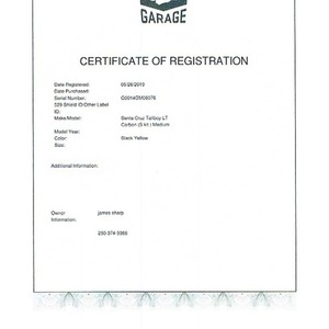 2015 Santa Cruz Tallboy LT carbon (S Kit ) Black and Yellow or Gold