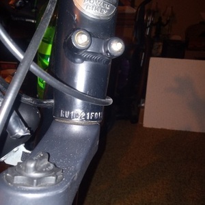 2022 Rad Power Bikes Step through Black