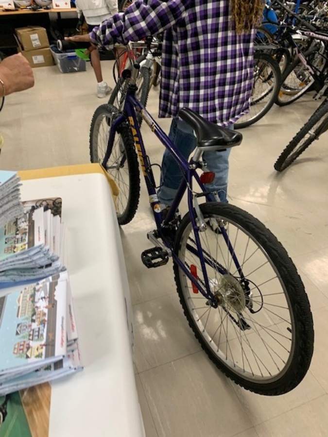 Tarantula Bike Raleigh Tarantula