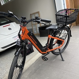 2024 Rad Power Bikes RAD POWER BIKE Orange