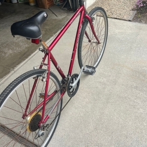 Specialized Crossroads Red