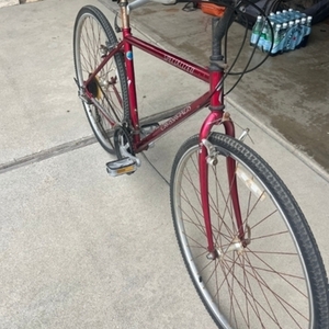 Specialized Crossroads Red