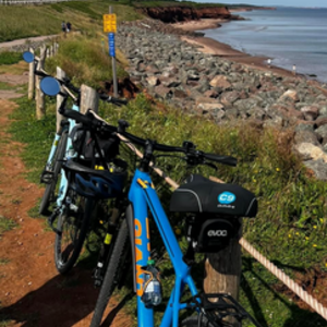 2019 Giant Roam Disc 2 Blue and Orange