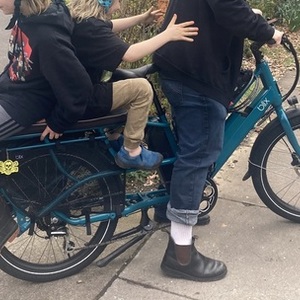 Blix packa genie cargo bike (front storage) Teal