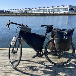 2016 Specialized Awol Green and Black