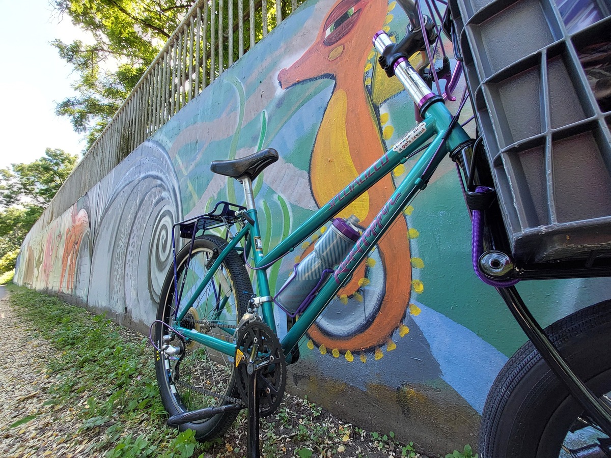 Décalcomanie Vélo Specialized Rockhopper Comp 1992 – Autocollant Vintage – Neuf