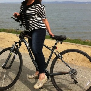 2012 Schwinn schwinn Silver or Gray