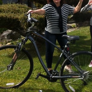 2012 Schwinn schwinn Silver or Gray