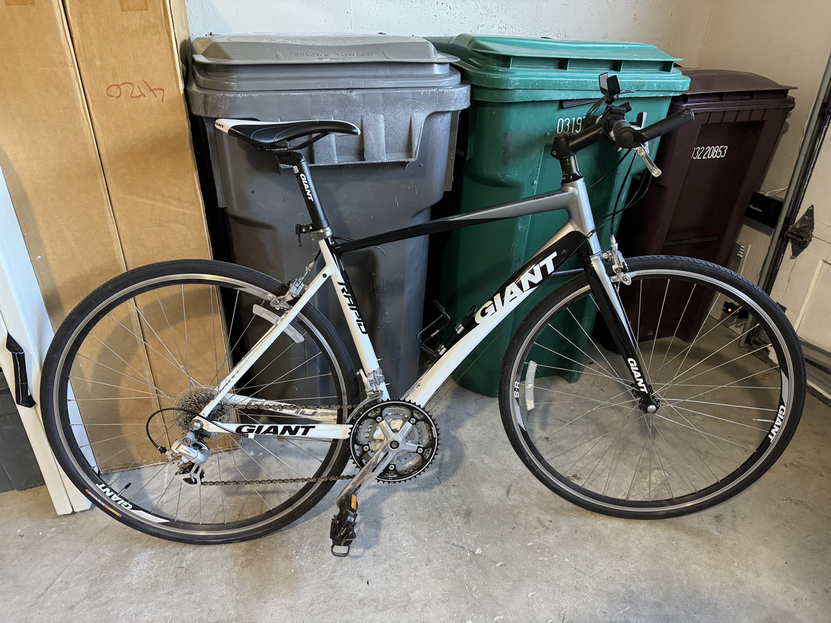 2010 Giant Rapid