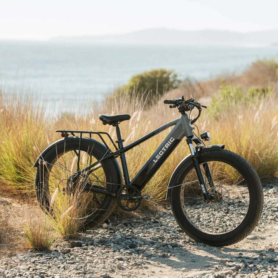 2024 Lectric eBikes XPEAK