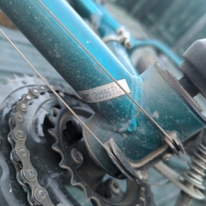 Roadmaster Mountain Green