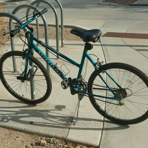 Roadmaster Mountain Green