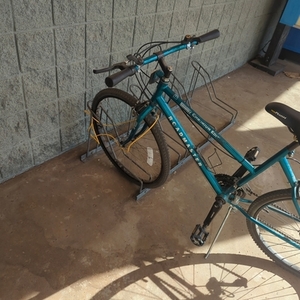 Roadmaster Mountain Green