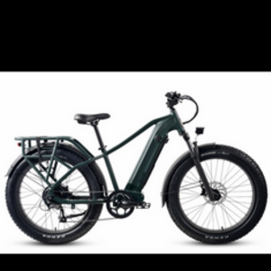 2024 Ride1Up XR Green and Black