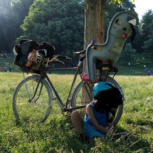 2015 Velo Orange Campeur Silver, gray or bare metal