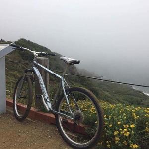 Gary Fisher Silver or Gray