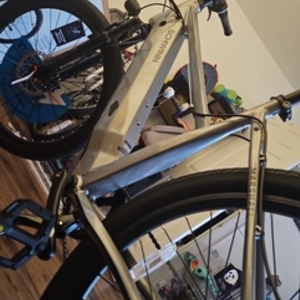 2023 Schwinn Marshall Silver, gray or bare metal