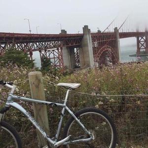 Gary Fisher Silver or Gray