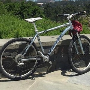 Gary Fisher Silver or Gray