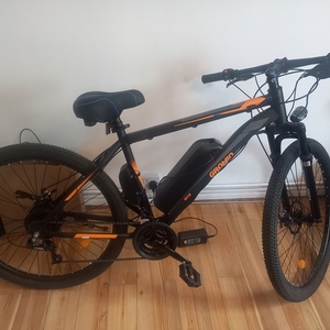 2022 Gromio 2022 Black and Orange