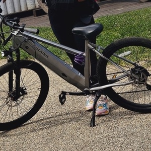 2023 Schwinn Marshall Silver, gray or bare metal