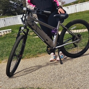 2023 Schwinn Marshall Silver, gray or bare metal