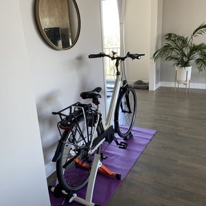 2020 Gazelle Medeo T9 White