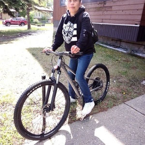 2024 Norco Bikes Norco storm Silver, gray or bare metal